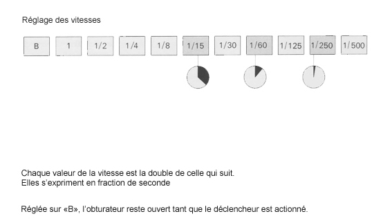 Vitesse